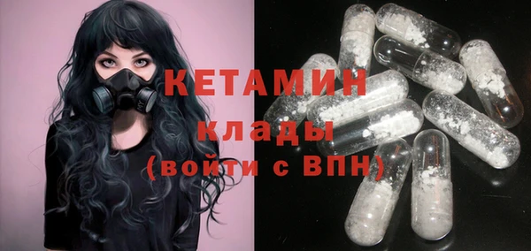 прущие грибы Медногорск
