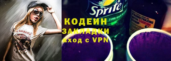 прущие грибы Медногорск