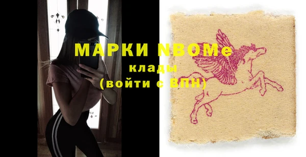прущие грибы Медвежьегорск