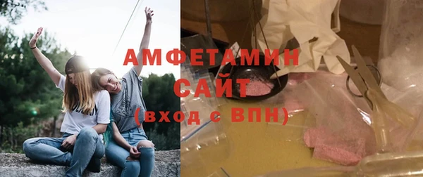 прущие грибы Медвежьегорск