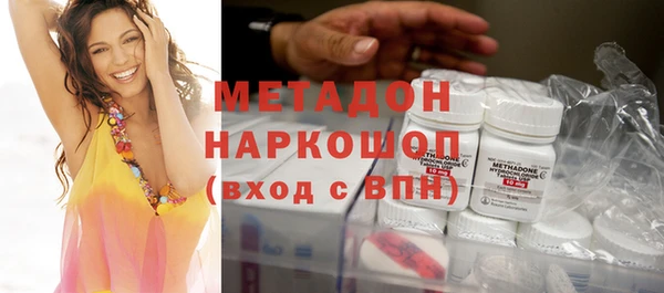 прущие грибы Медвежьегорск