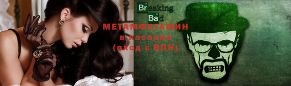 прущие грибы Медвежьегорск