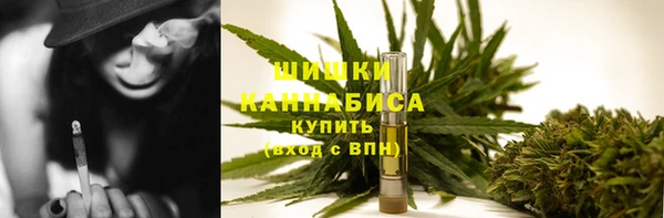 прущие грибы Медвежьегорск