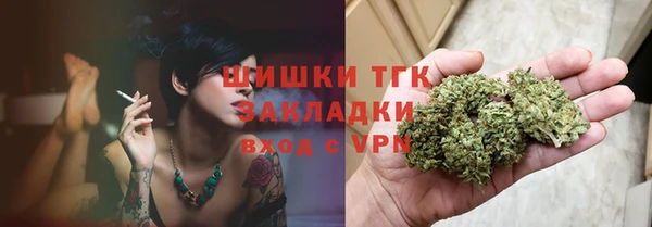 прущие грибы Медногорск