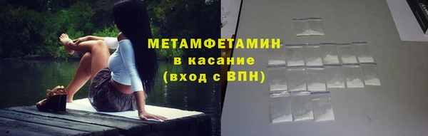прущие грибы Медвежьегорск