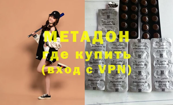 прущие грибы Медногорск