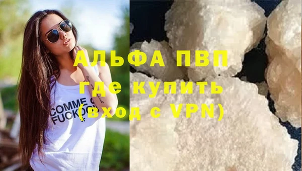 ECSTASY Липки