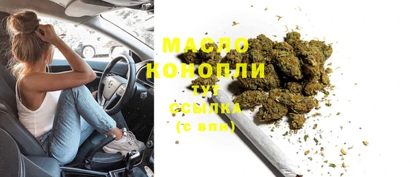 прущие грибы Медвежьегорск