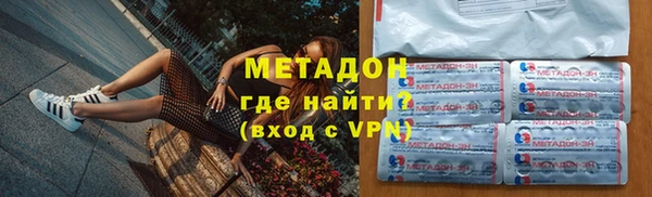 прущие грибы Медногорск