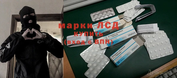 прущие грибы Медногорск