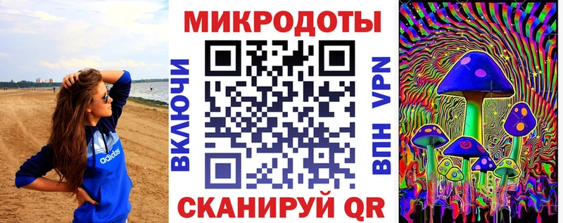 Псилоцибиновые грибы Psilocybine cubensis  Эртиль 